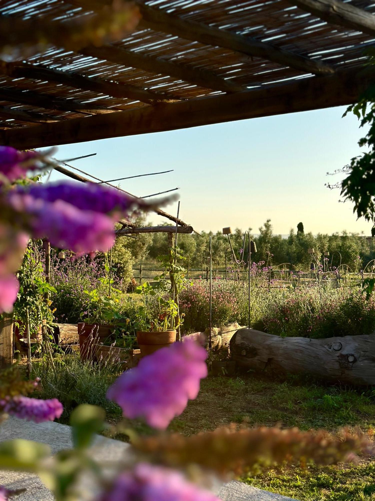 Tenuta Di Paternostro Vetralla Exterior foto