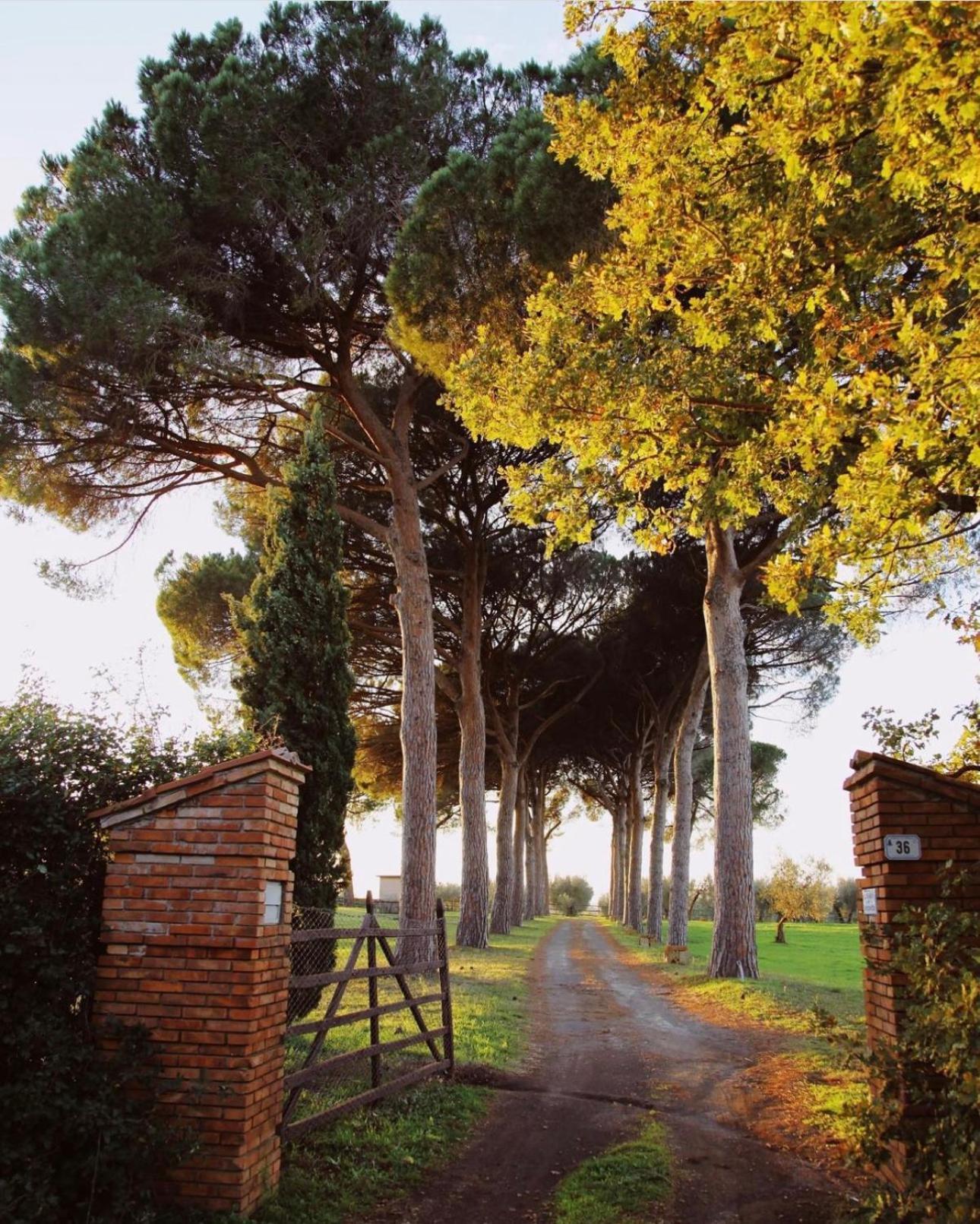 Tenuta Di Paternostro Vetralla Exterior foto