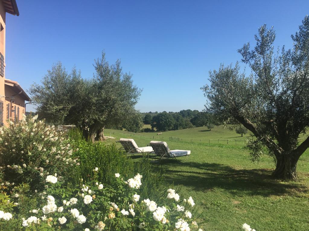 Tenuta Di Paternostro Vetralla Exterior foto